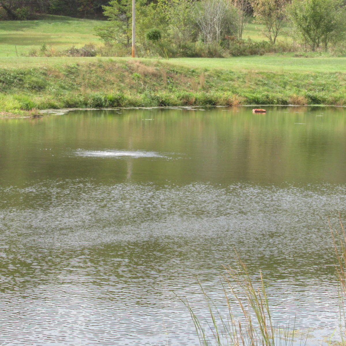 2643 Rutrough Road Southeast Roanoke, VA 24014 - Photo 6 of 32 a view of a lake view