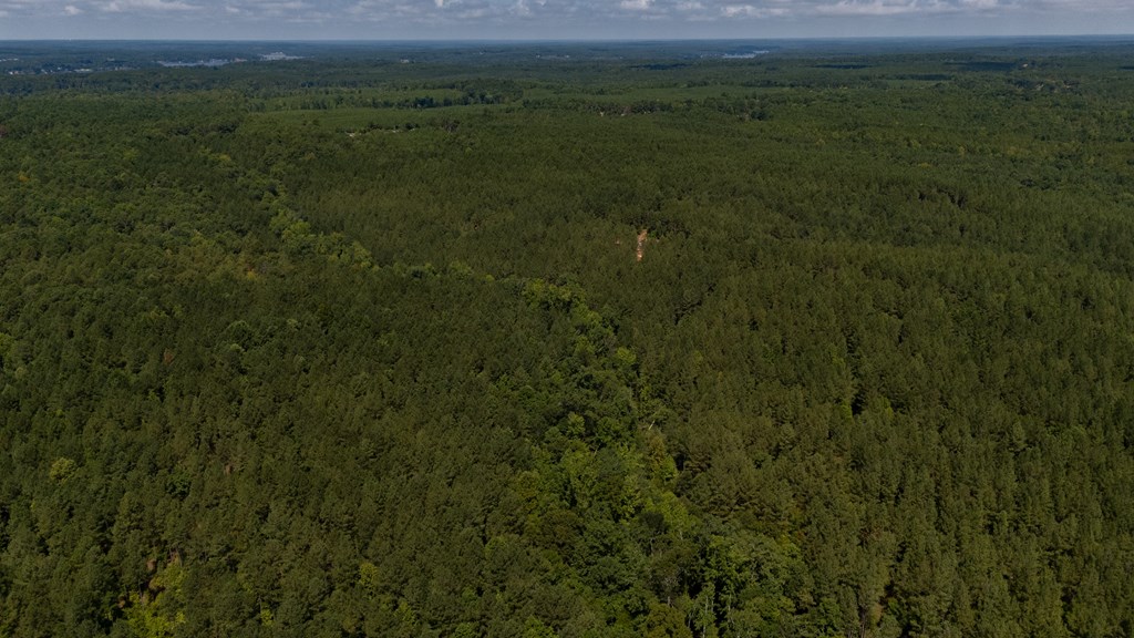 0 Highway 221 S Waterloo Sc 29384 Waterloo, SC 29384 - Photo 7 of 14