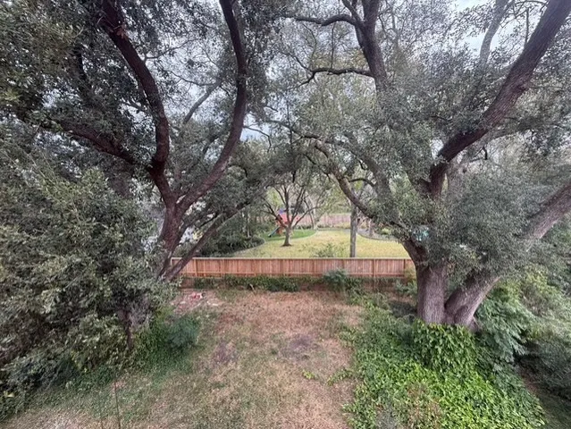 a view of backyard with large trees