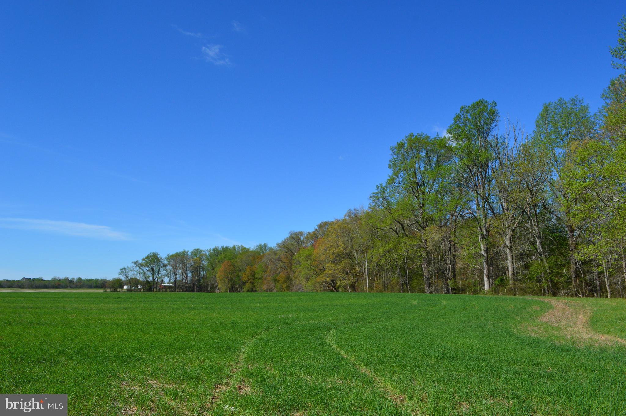 3750 Windy Hill Road Trappe, MD 21673 - Photo 53 of 53 Gallery Image 53