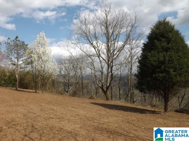 8455 Pine Mountain Road Springville, AL 35146 - Photo 25 of 39 Gallery Image 25