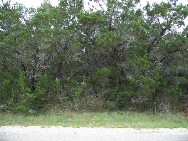 0 Crazy Cross Road Wimberley, TX 78676 - Photo 1 of 1 Gallery Image 1