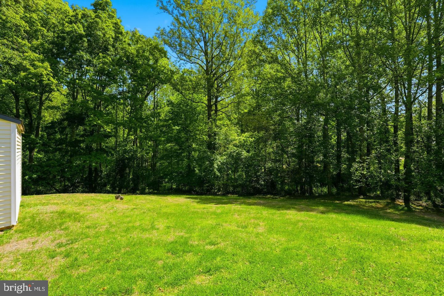 11057 Eggbornsville Road Rixeyville, VA 22737 - Photo 35 of 35 Gallery Image 35