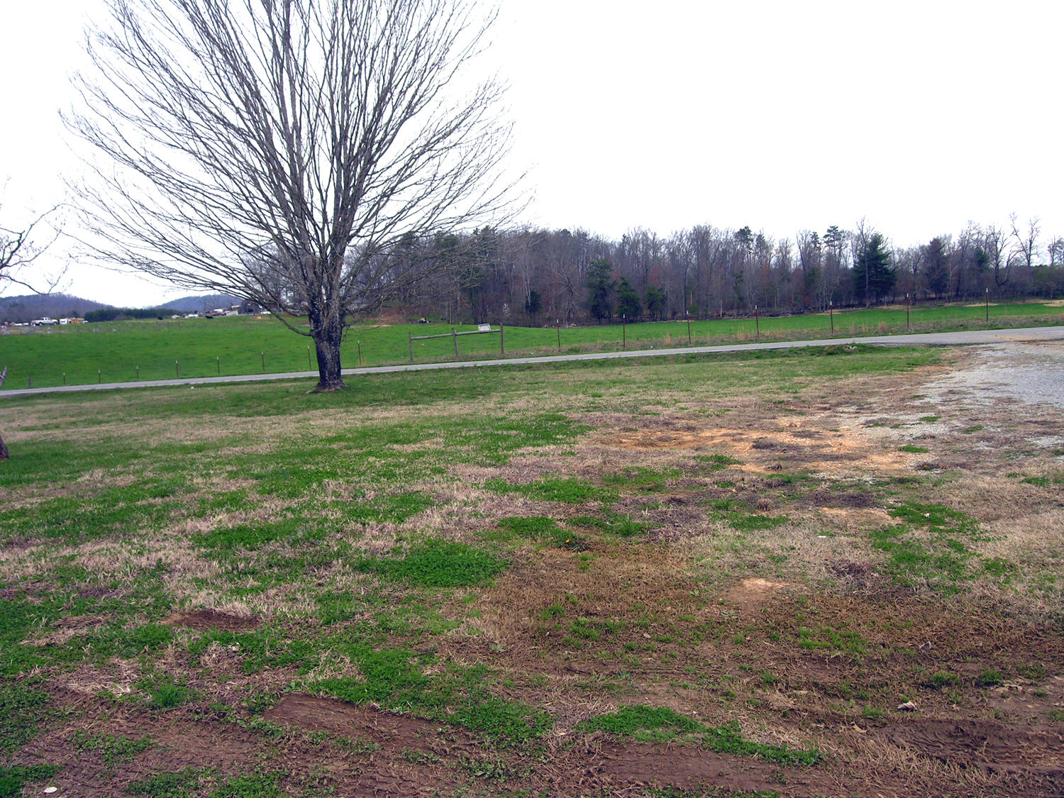 704 Fairview Road Tellico Plains, TN 37385 - Photo 17 of 18 View from front