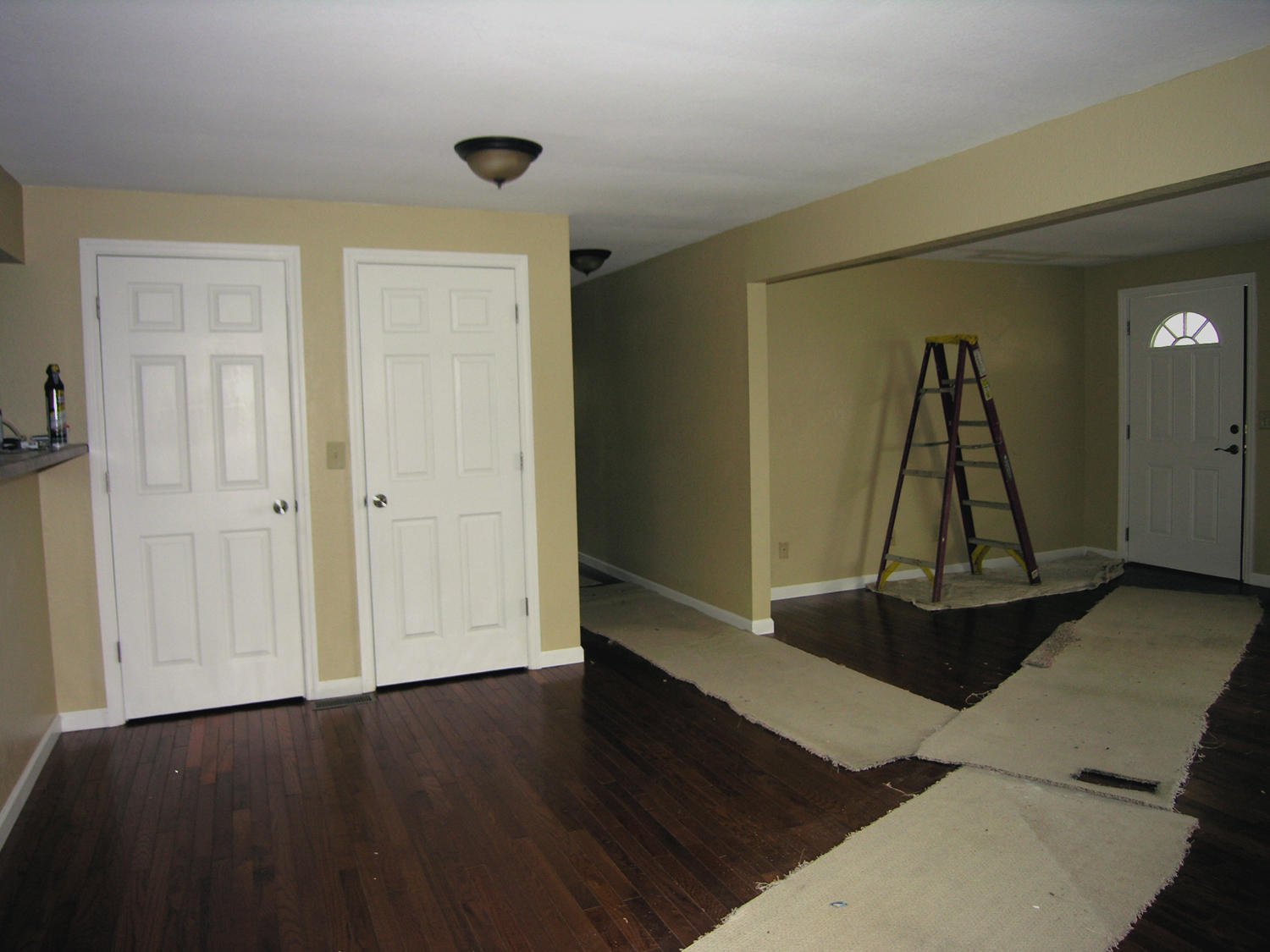 704 Fairview Road Tellico Plains, TN 37385 - Photo 3 of 18 Double pantry