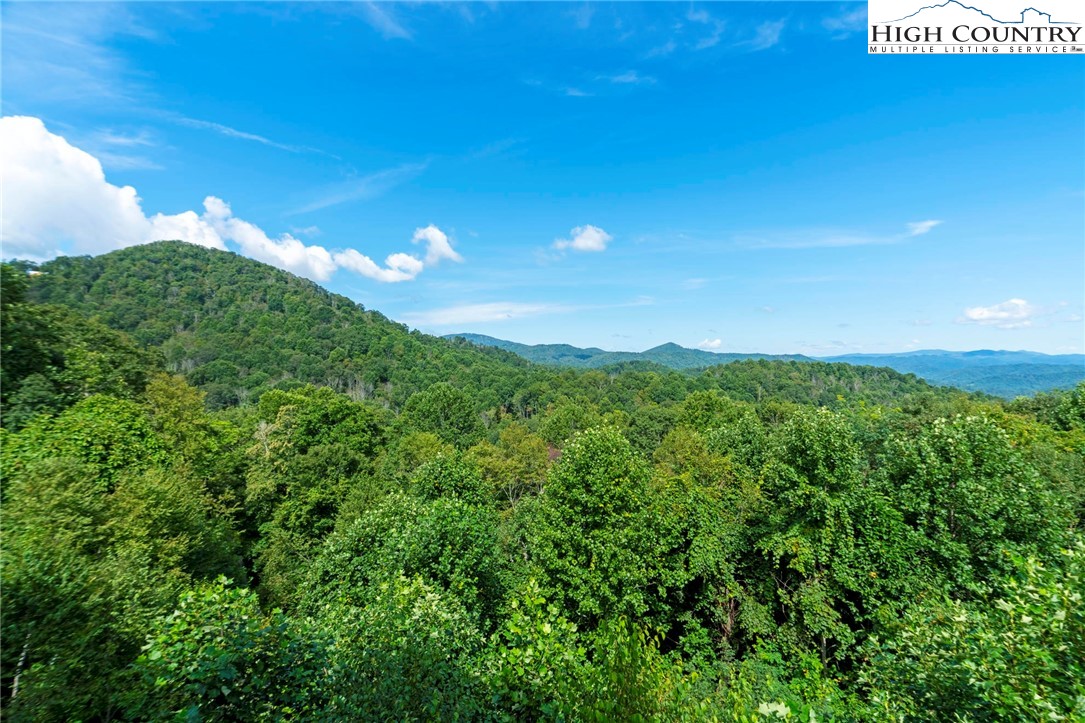 942 Ridge Haven Parkway, Unit R1222 Banner Elk, NC 28604 - Photo 17 of 43 Gallery Image 17