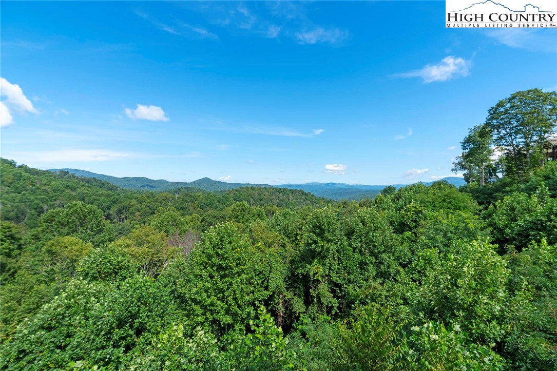 942 Ridge Haven Parkway, Unit R1222 Banner Elk, NC 28604 - Photo 18 of 43 Gallery Image 18