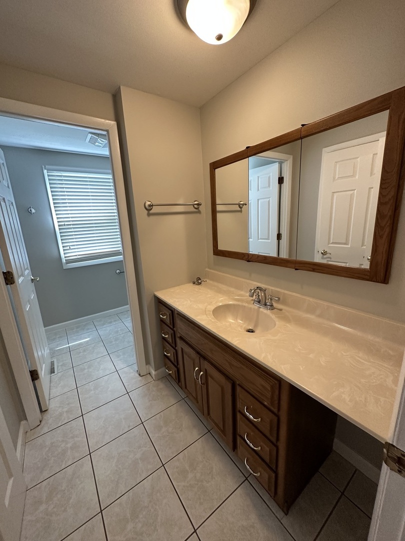 420 Iverson Lane Schaumburg, IL 60169 - Photo 8 of 12 a bathroom with a sink a vanity and a mirror