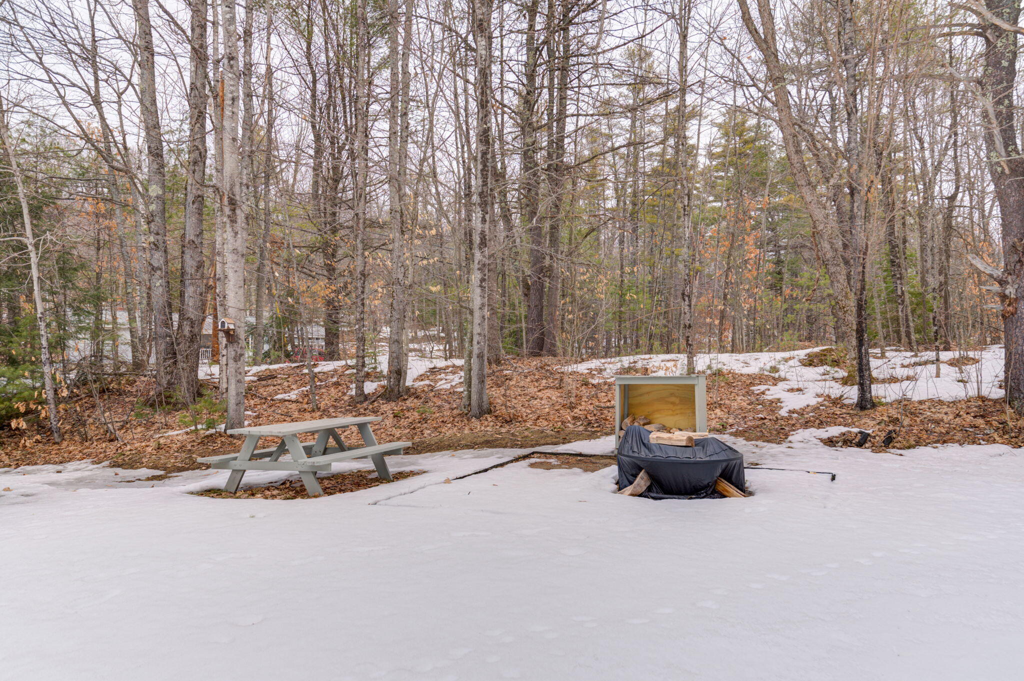 824 Poland Spring Road Casco, ME 04015 - Photo 39 of 41 47-web-or-mls-Pic#-9