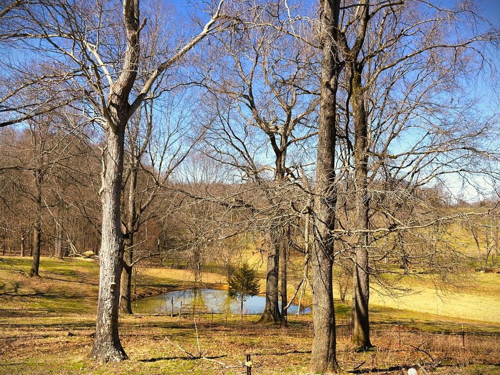 1152 Dogwalk Road Monroe, TN 38573 - Photo 61 of 91