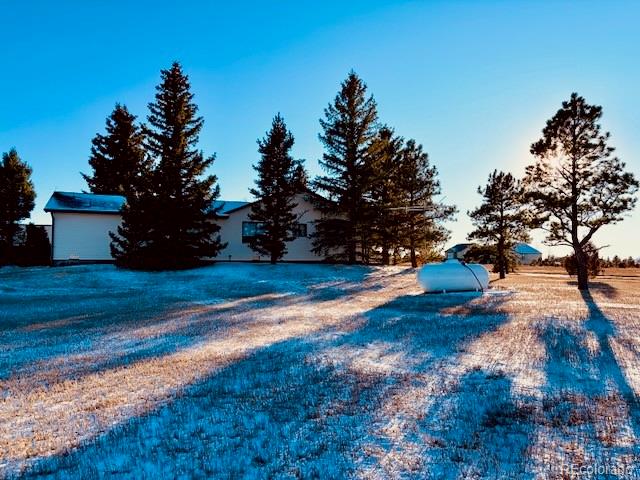 24988 Ben Kelly Road Elbert, CO 80106 - Photo 7 of 34