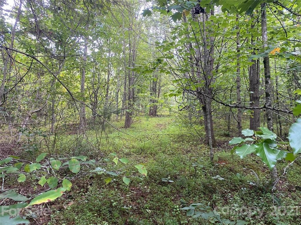 V/l Setzers Gap Road Lenoir, NC 28645 - Photo 1 of 9 Gallery Image 1