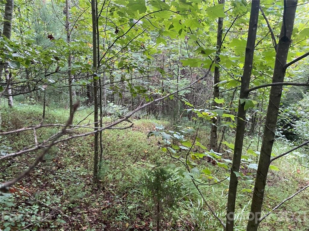 V/l Setzers Gap Road Lenoir, NC 28645 - Photo 3 of 9 Gallery Image 3