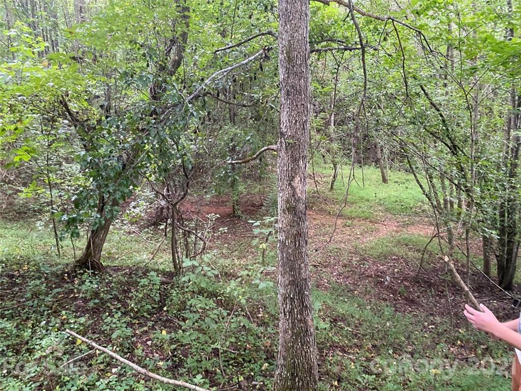 V/l Setzers Gap Road Lenoir, NC 28645 - Photo 5 of 9 Gallery Image 5
