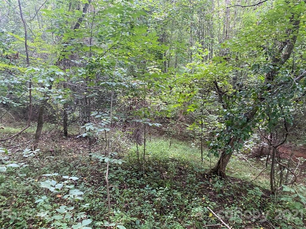 V/l Setzers Gap Road Lenoir, NC 28645 - Photo 7 of 9 Gallery Image 7
