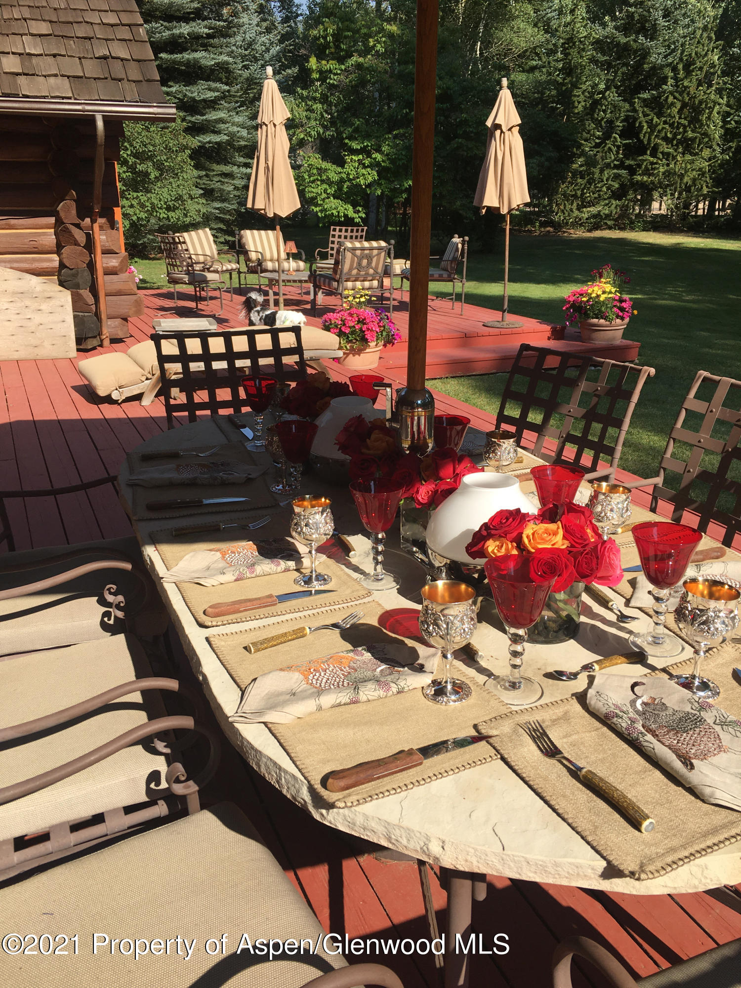 1305 Red Butte Drive Aspen, CO 81611 - Photo 20 of 22 Backyard Dining and Seating