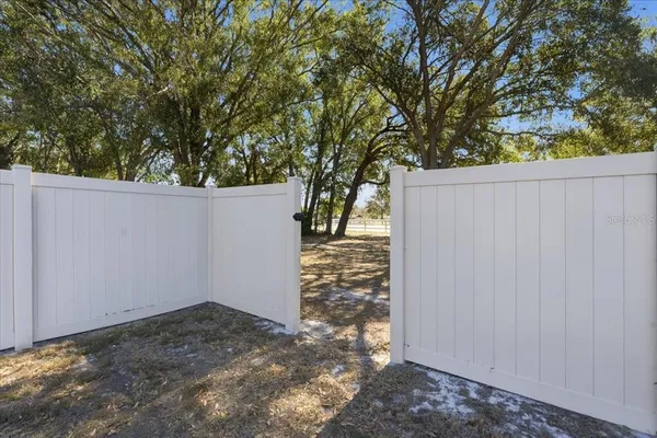 a view of road with trees