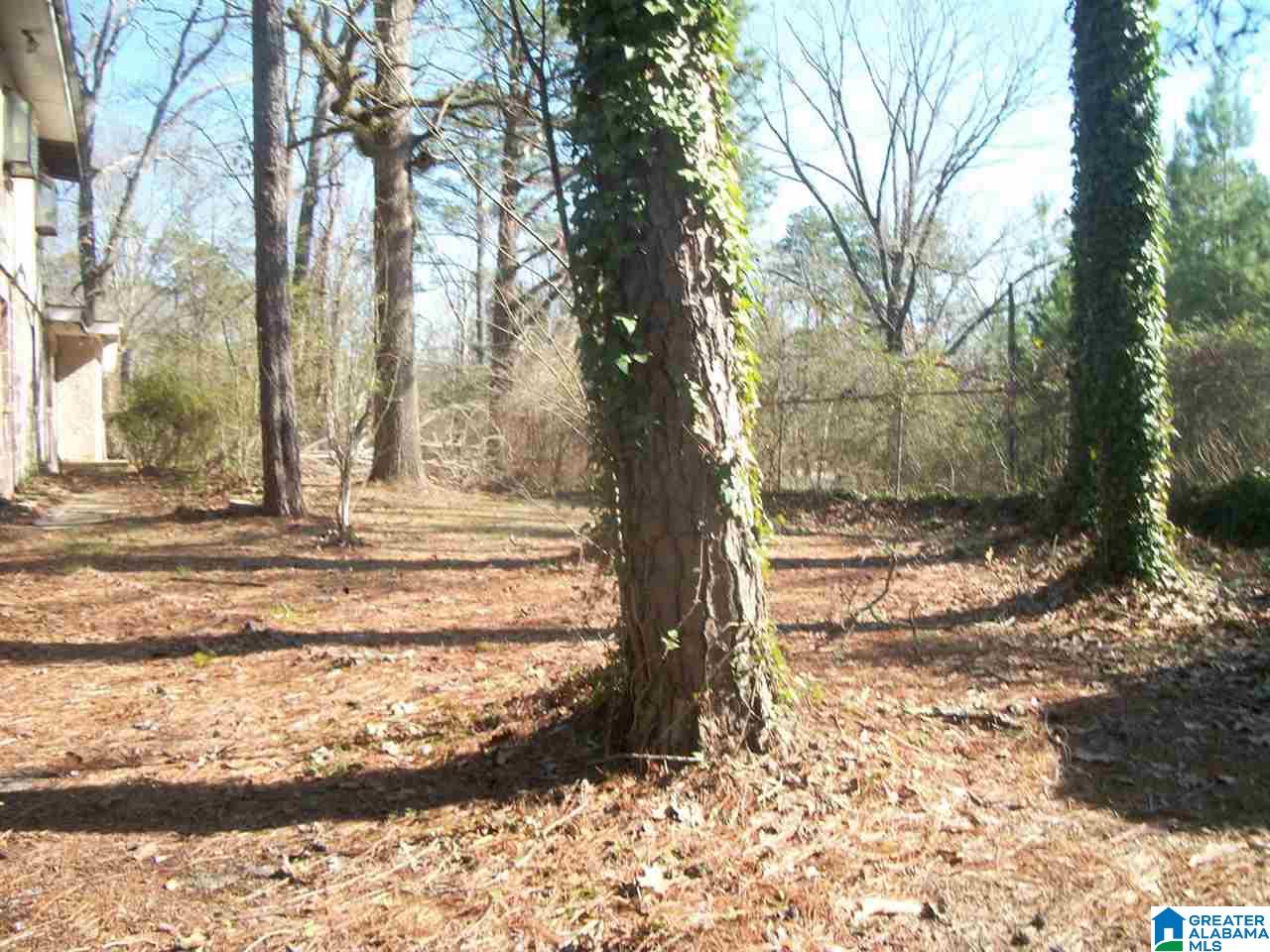 7685 Dollar Road Trussville, AL 35173 - Photo 3 of 3