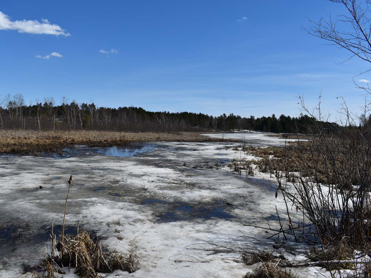 On On Pine Road, Unit LOT3 Tomahawk, WI 54487 - Photo 4 of 20 Gallery Image 4
