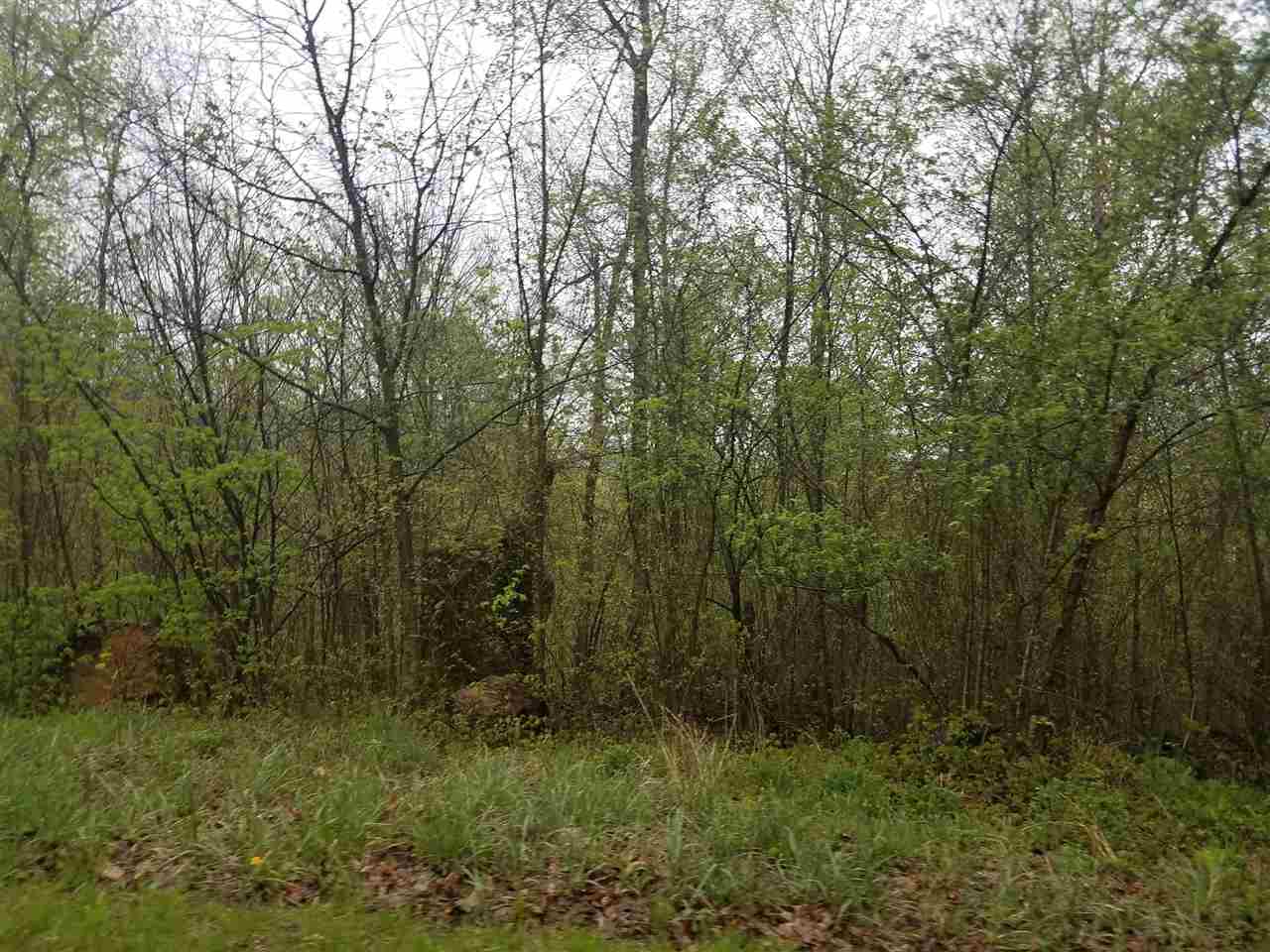 32 Powell Valley Road Shoals, IN 47581 - Photo 2 of 14