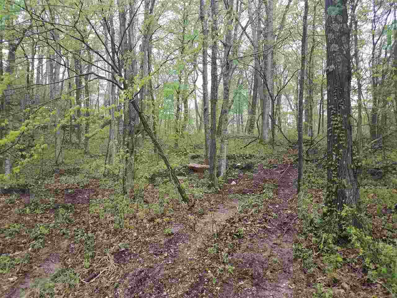 32 Powell Valley Road Shoals, IN 47581 - Photo 11 of 14