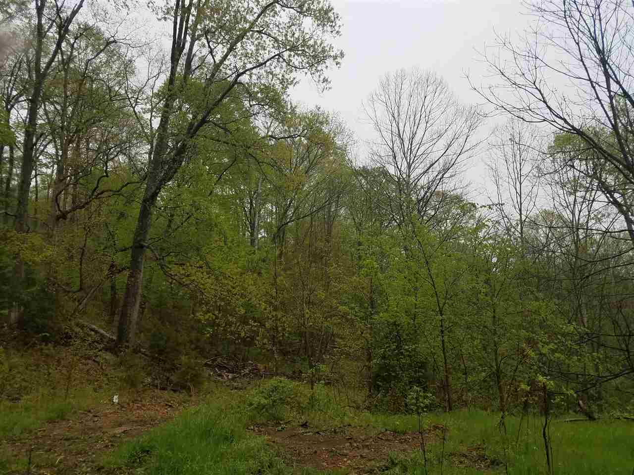 32 Powell Valley Road Shoals, IN 47581 - Photo 12 of 14