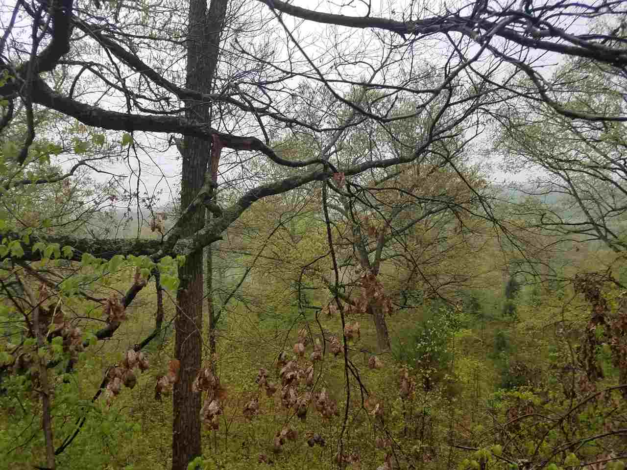 32 Powell Valley Road Shoals, IN 47581 - Photo 3 of 14