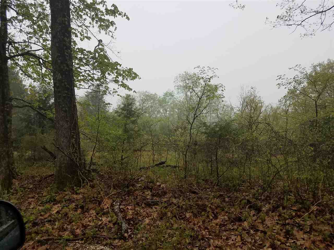 32 Powell Valley Road Shoals, IN 47581 - Photo 4 of 14