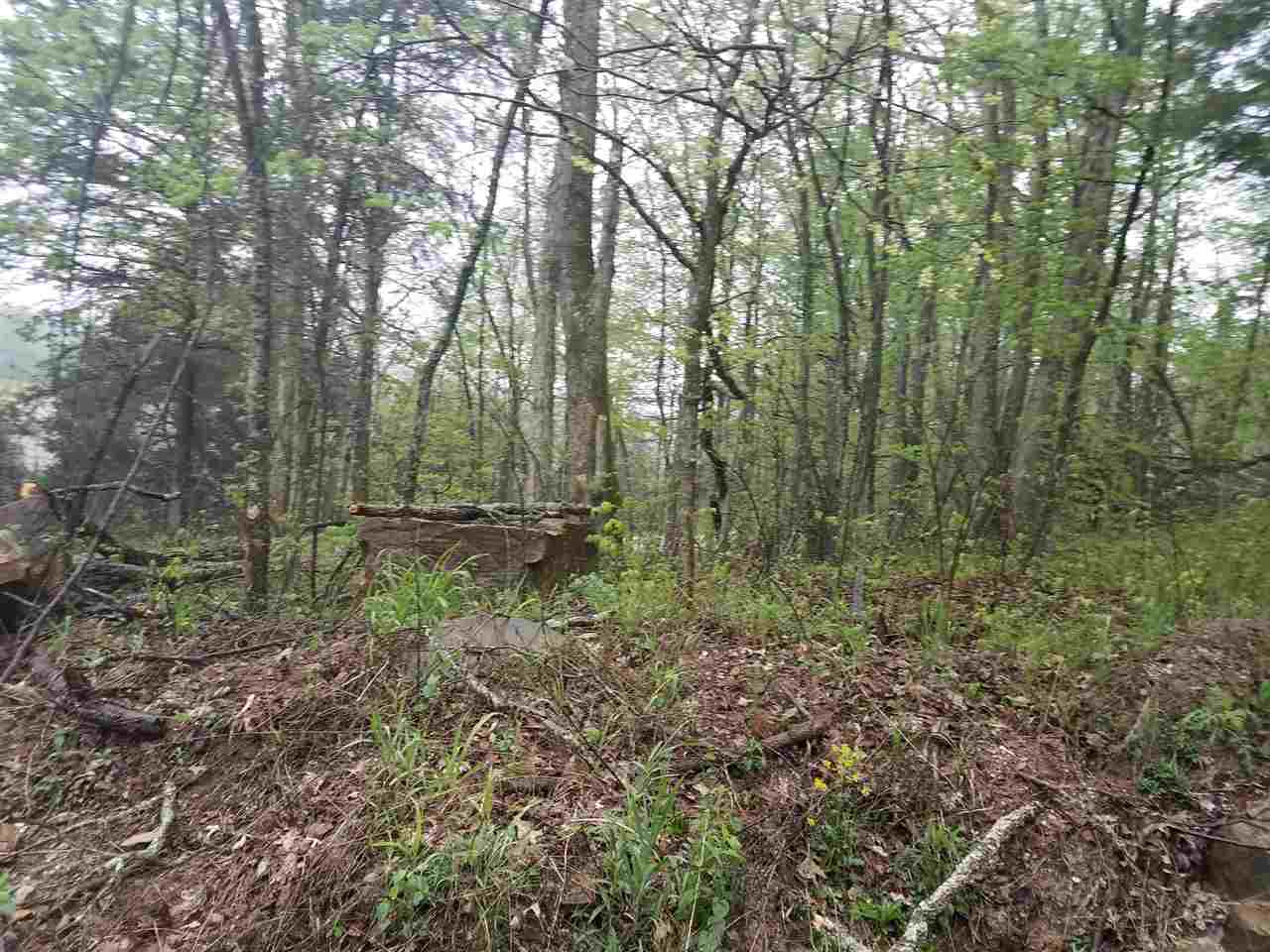 32 Powell Valley Road Shoals, IN 47581 - Photo 10 of 14