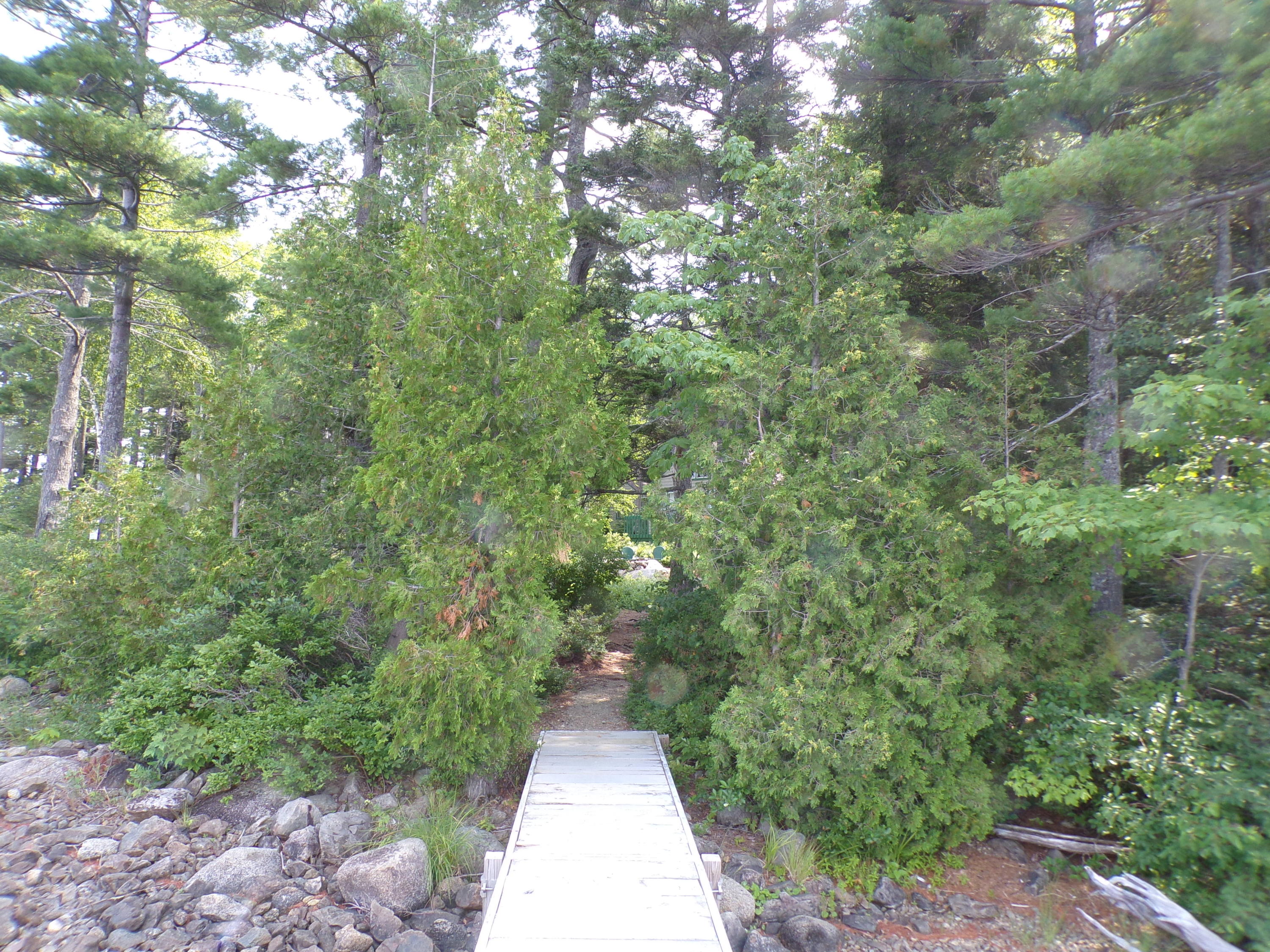 72 Puckerbrush Trail Millinocket, ME 04462 - Photo 15 of 48 Looking back toward camp from dock
