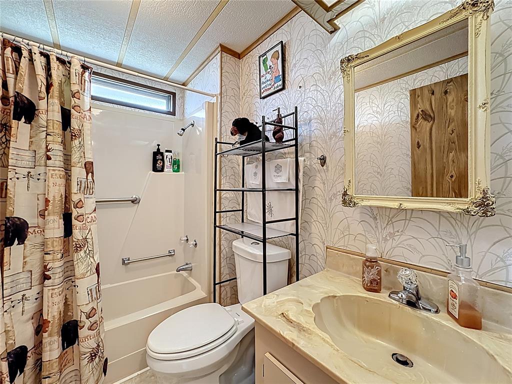 1311 Mohawk Circle Tavares, FL 32778 - Photo 22 of 59