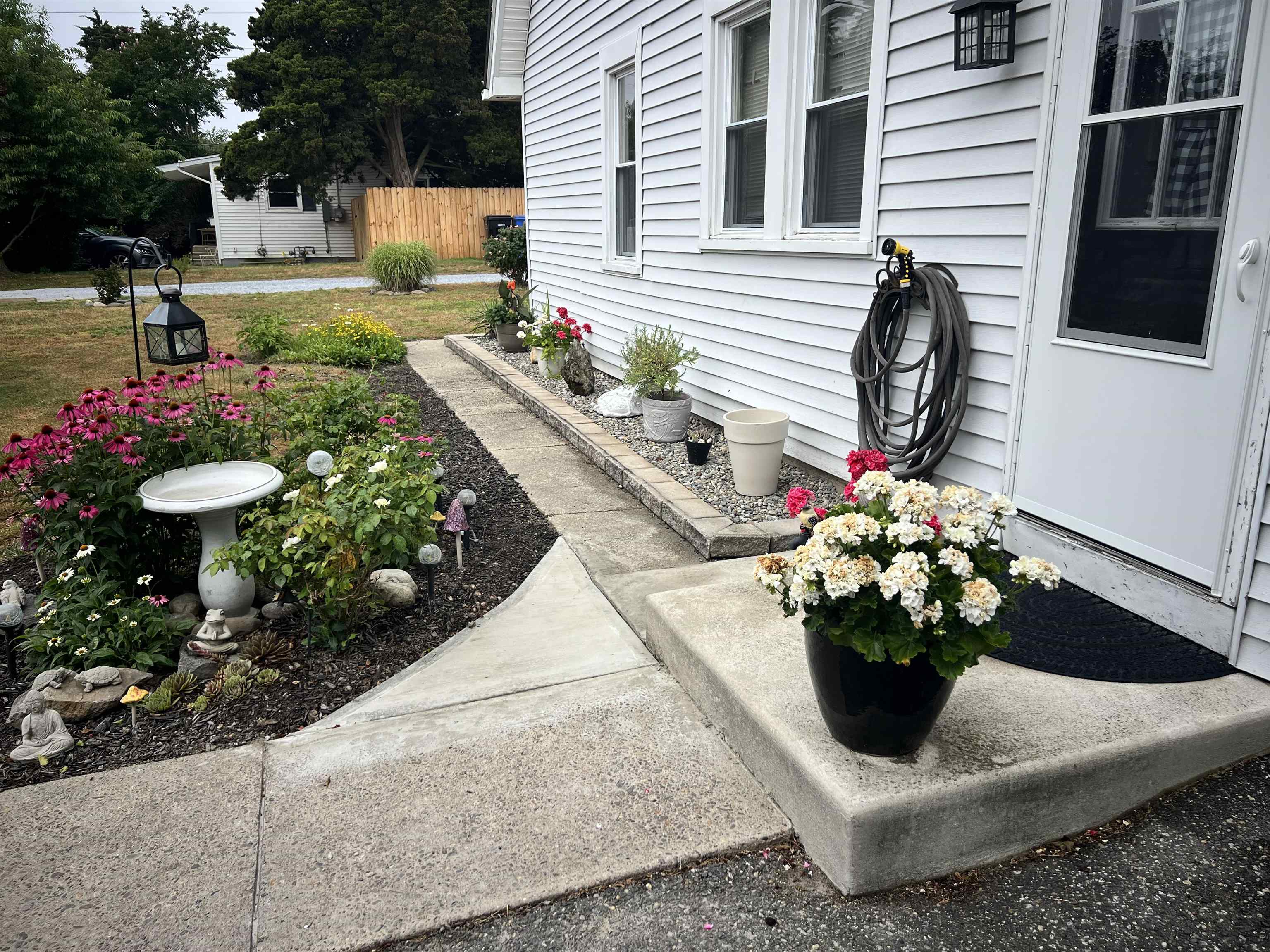 14 Lyndhurst Road Marmora, NJ 08223 - Photo 28 of 38 a view of a flowers in the garden