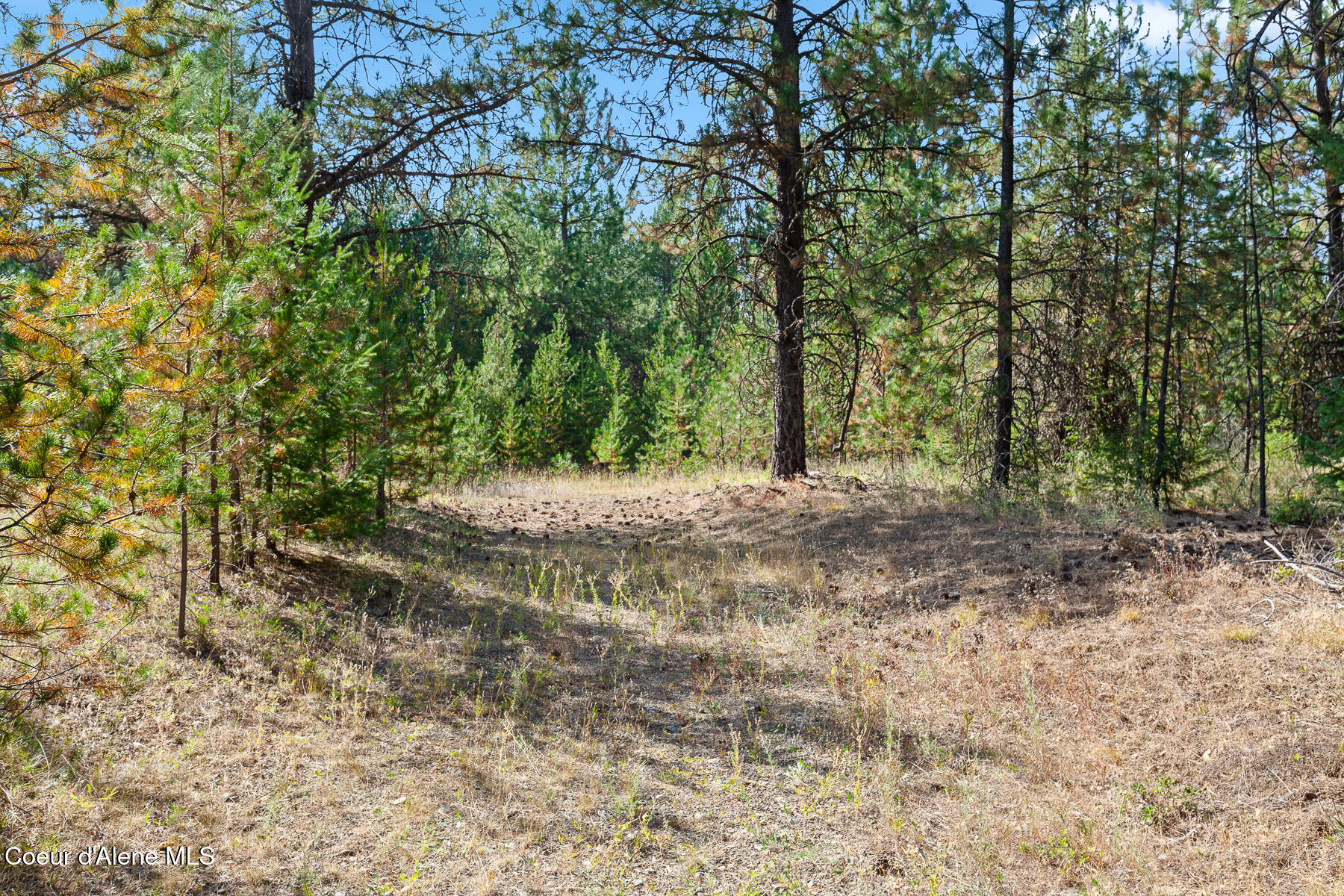 Nka East Arthur Road Athol, ID 83801 - Photo 15 of 16 EArthurRdLot-2