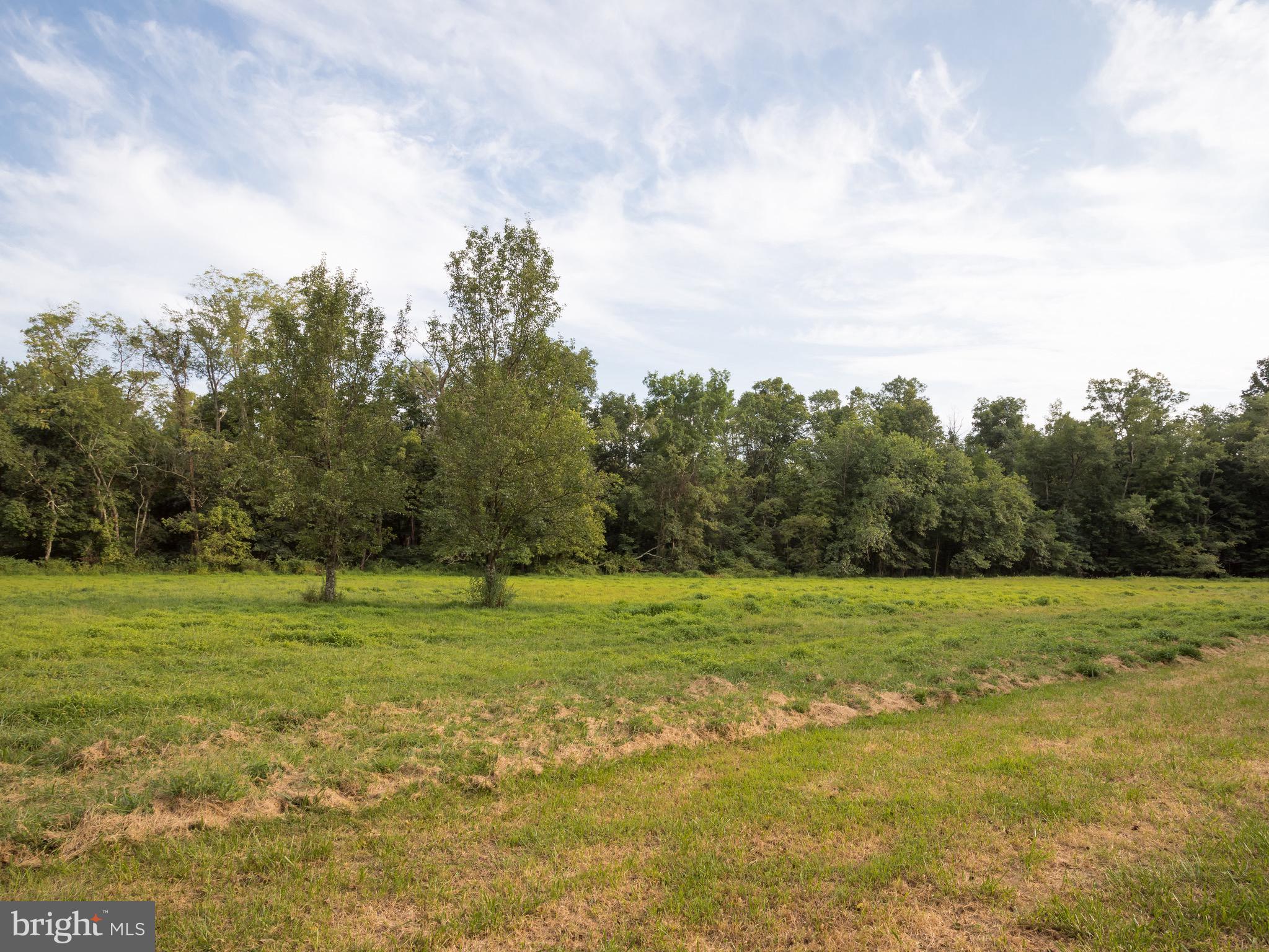 2755 Walton Road Jamison, PA 18929 - Photo 41 of 62 BACK