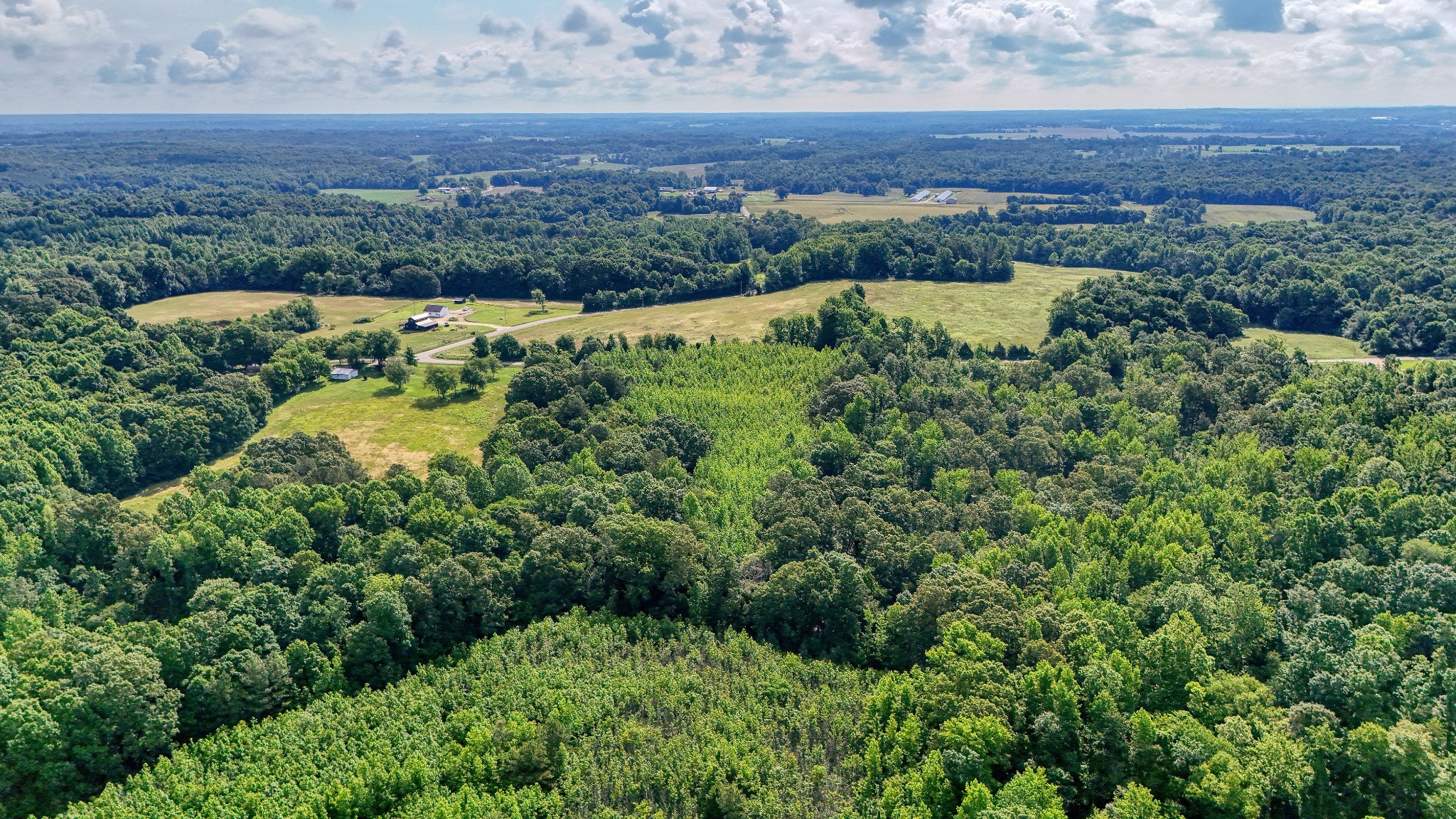 0 Ables Road Cottage Grove, TN 38224 - Photo 11 of 18 an aerial view of a house with a yard