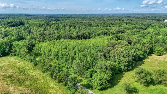 a view of a yard with an outdoor space