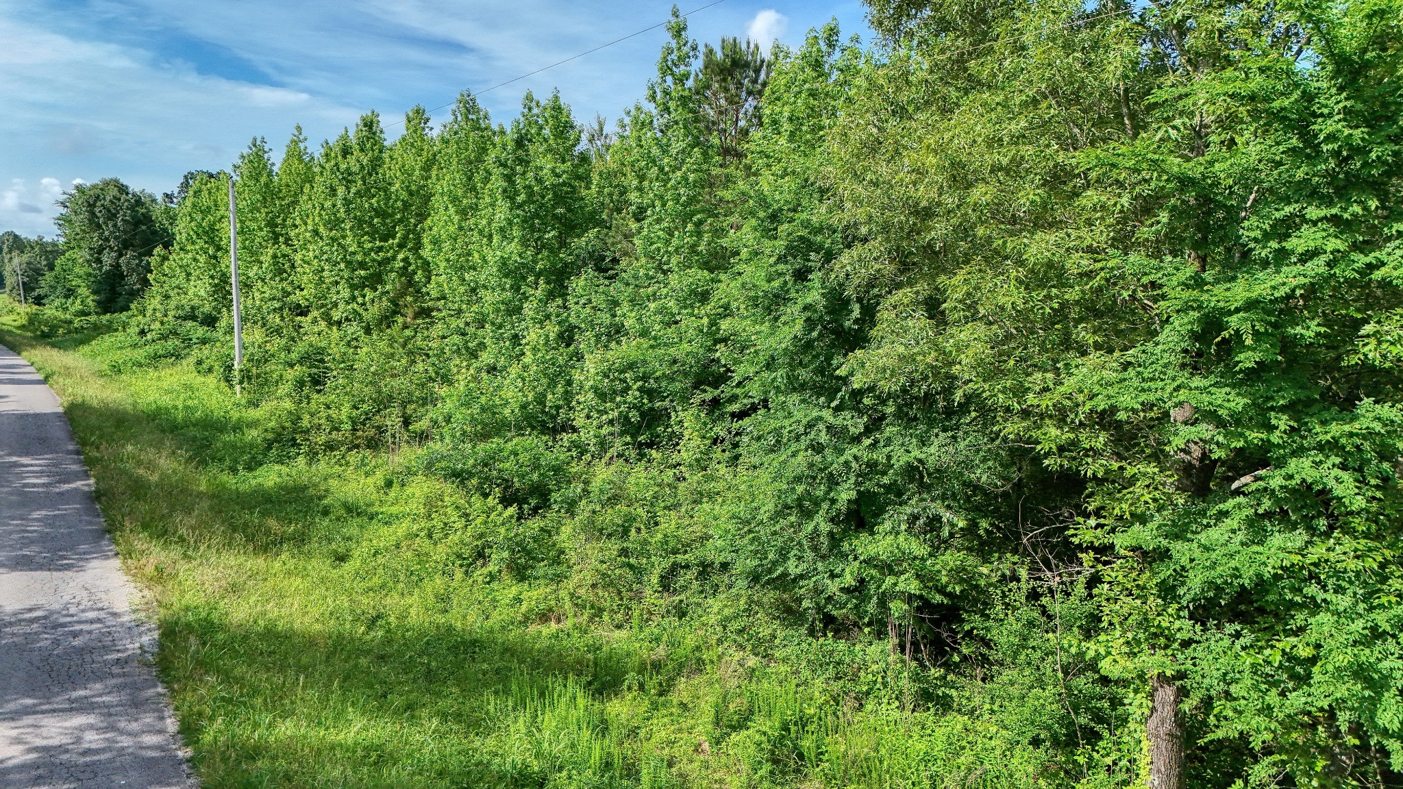 0 Ables Road Cottage Grove, TN 38224 - Photo 13 of 18 a view of a garden