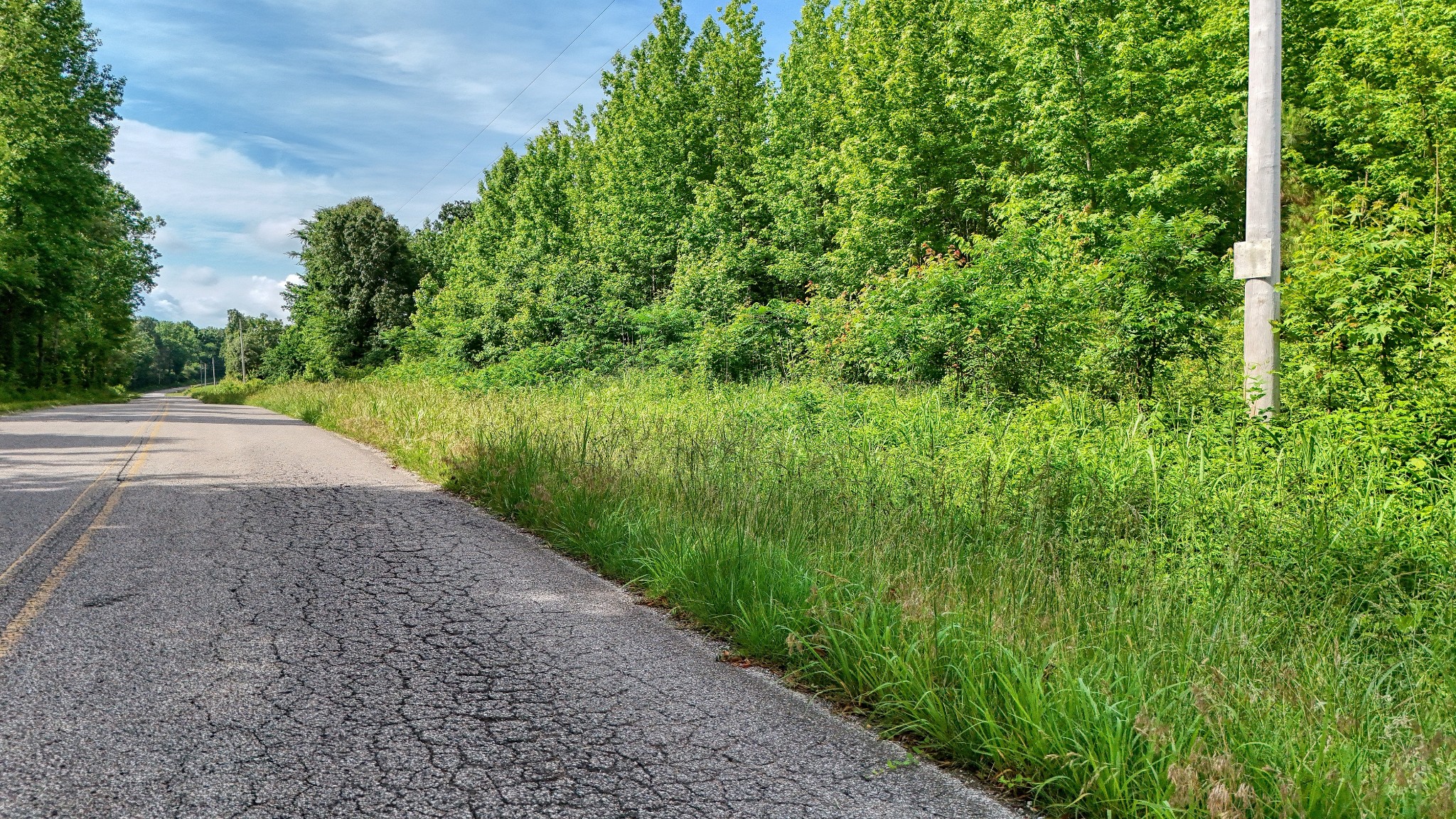 0 Ables Road Cottage Grove, TN 38224 - Photo 14 of 18 a view of a street view