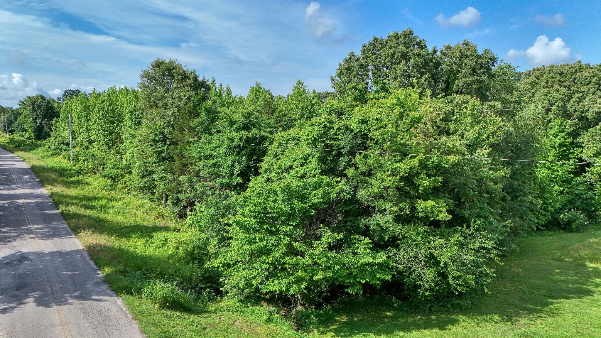 0 Ables Road Cottage Grove, TN 38224 - Photo 15 of 18 a view of a garden with a tree