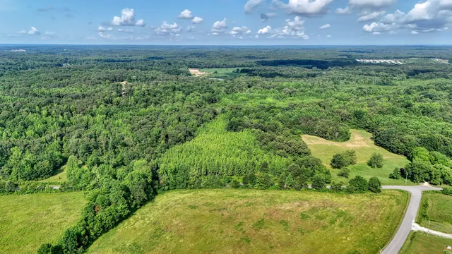 a view of a lush green yard