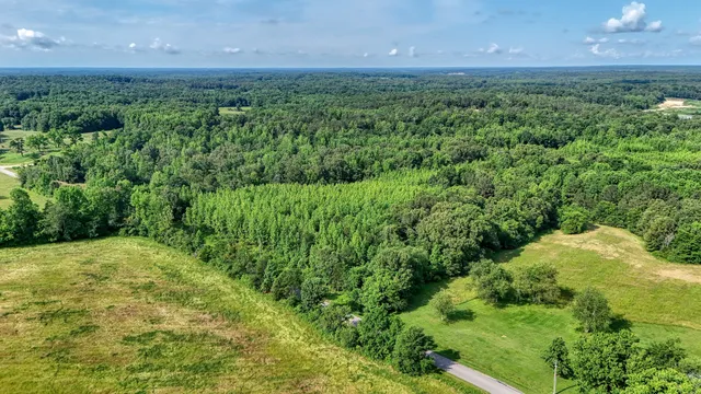 a view of a big yard with lots of green space and mountain view