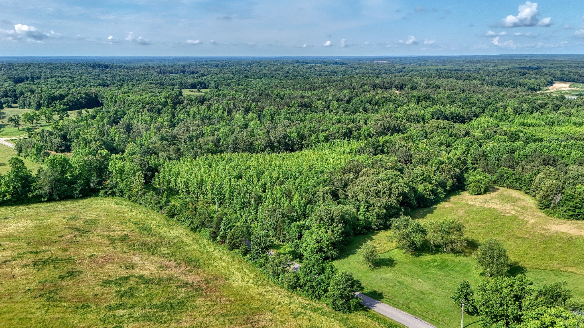 0 Ables Road Cottage Grove, TN 38224 - Photo 18 of 18 a view of a big yard with lots of green space and mountain view