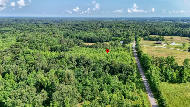 a view of a green yard with large trees