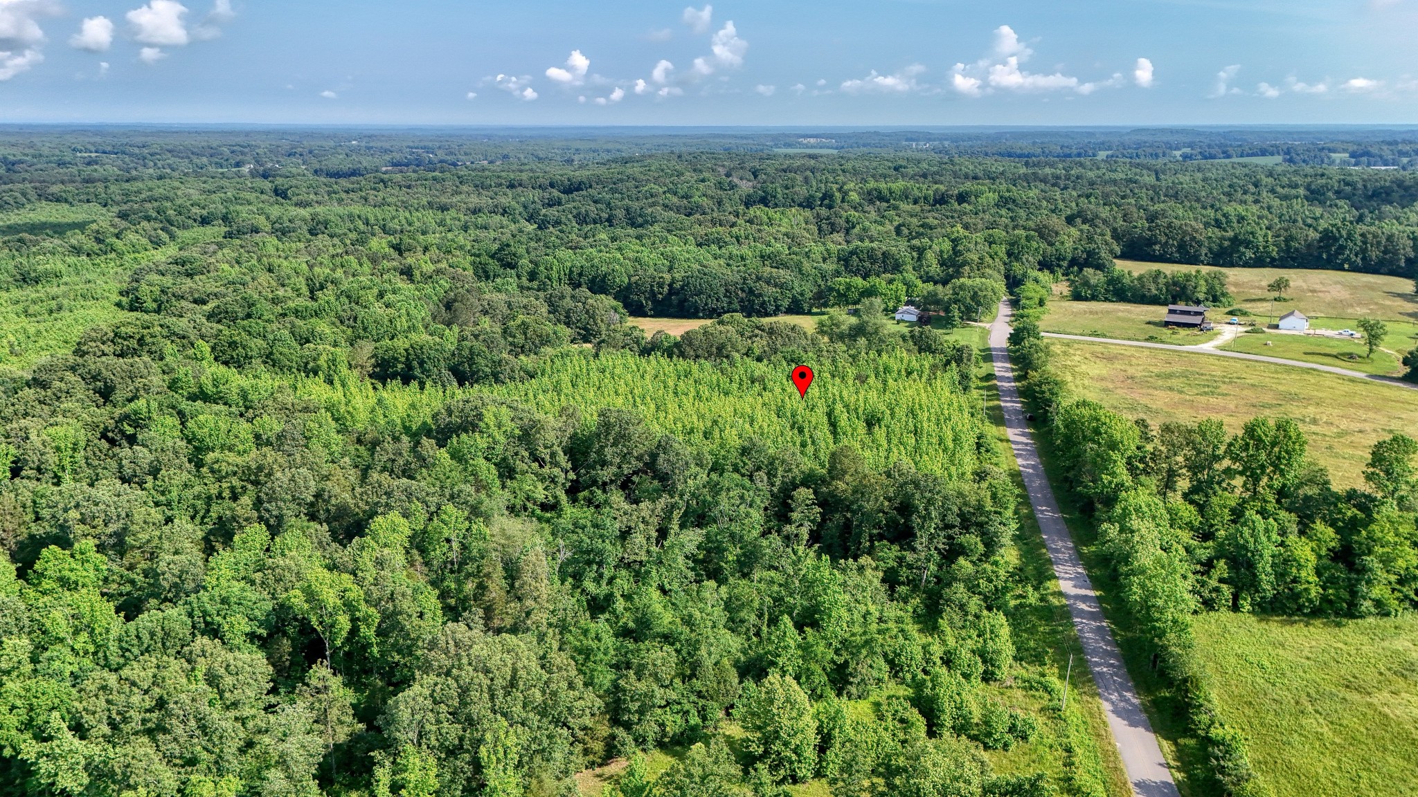 0 Ables Road Cottage Grove, TN 38224 - Photo 4 of 18 a view of a green yard with large trees