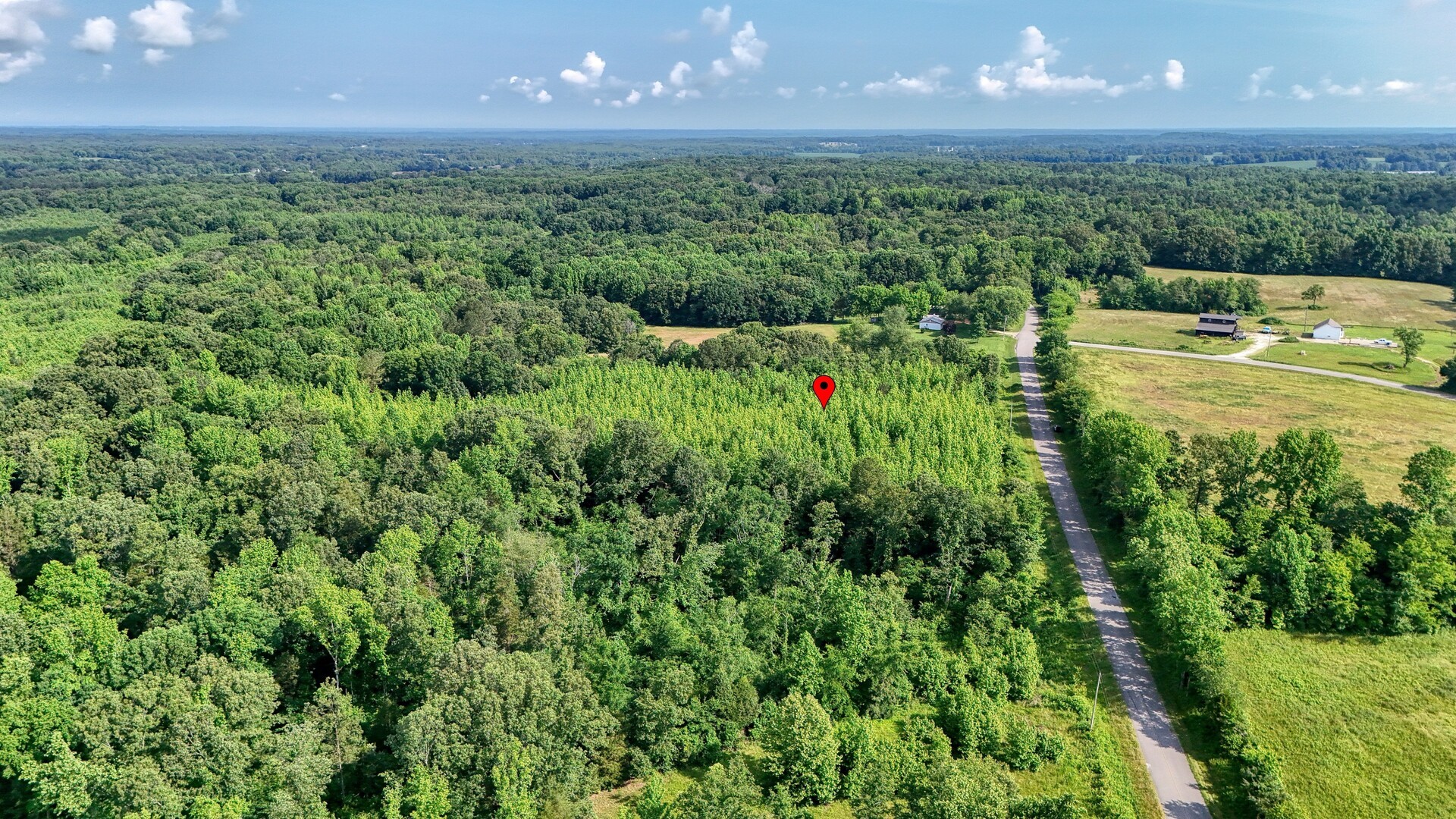 0 Ables Road Cottage Grove, TN 38224 - Photo 5 of 18 a view of a green yard with large trees