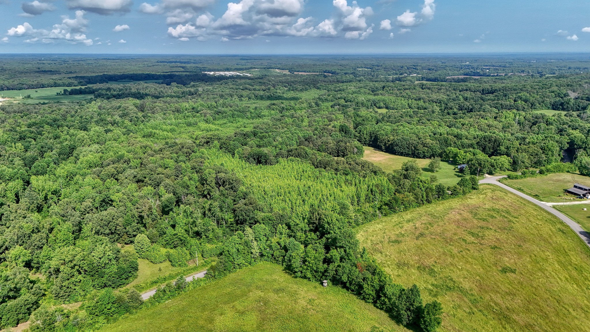 0 Ables Road Cottage Grove, TN 38224 - Photo 7 of 18 a view of a lush green yard