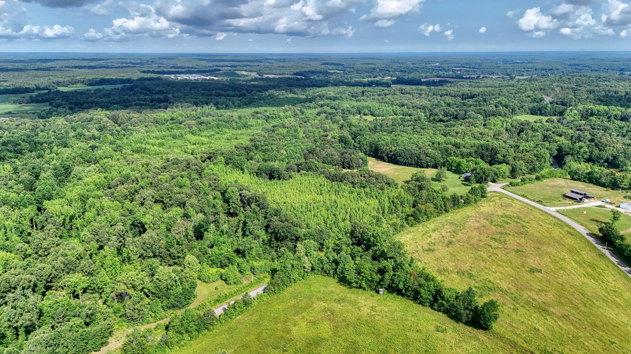 0 Ables Road Cottage Grove, TN 38224 - Photo 8 of 18 a view of a lush green space