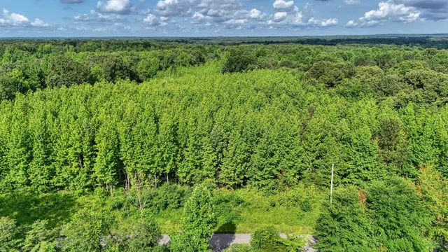 a view of outdoor space and yard