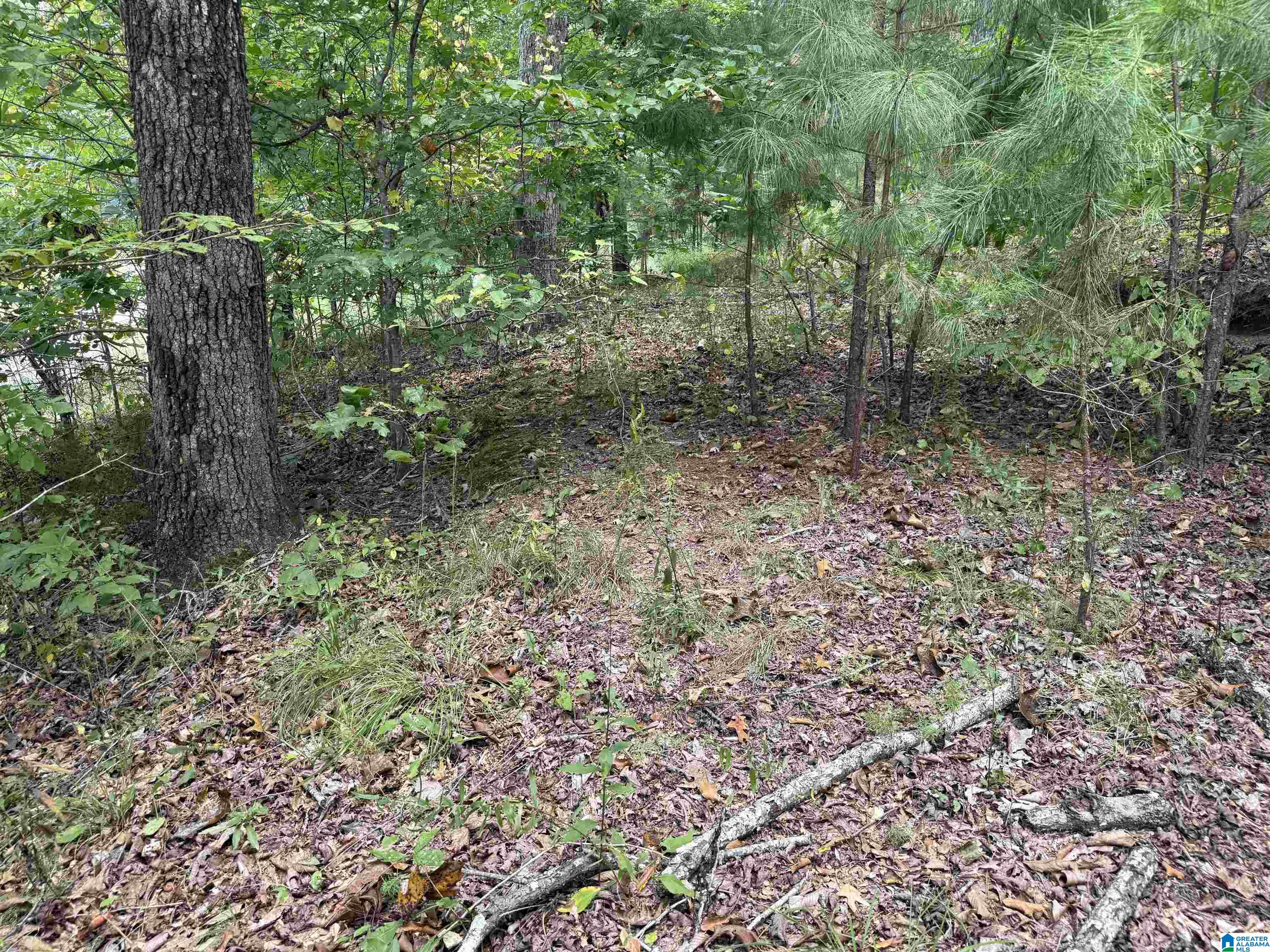 0 Lakeside Circle, Unit 31 Delta, AL 36258 - Photo 10 of 16