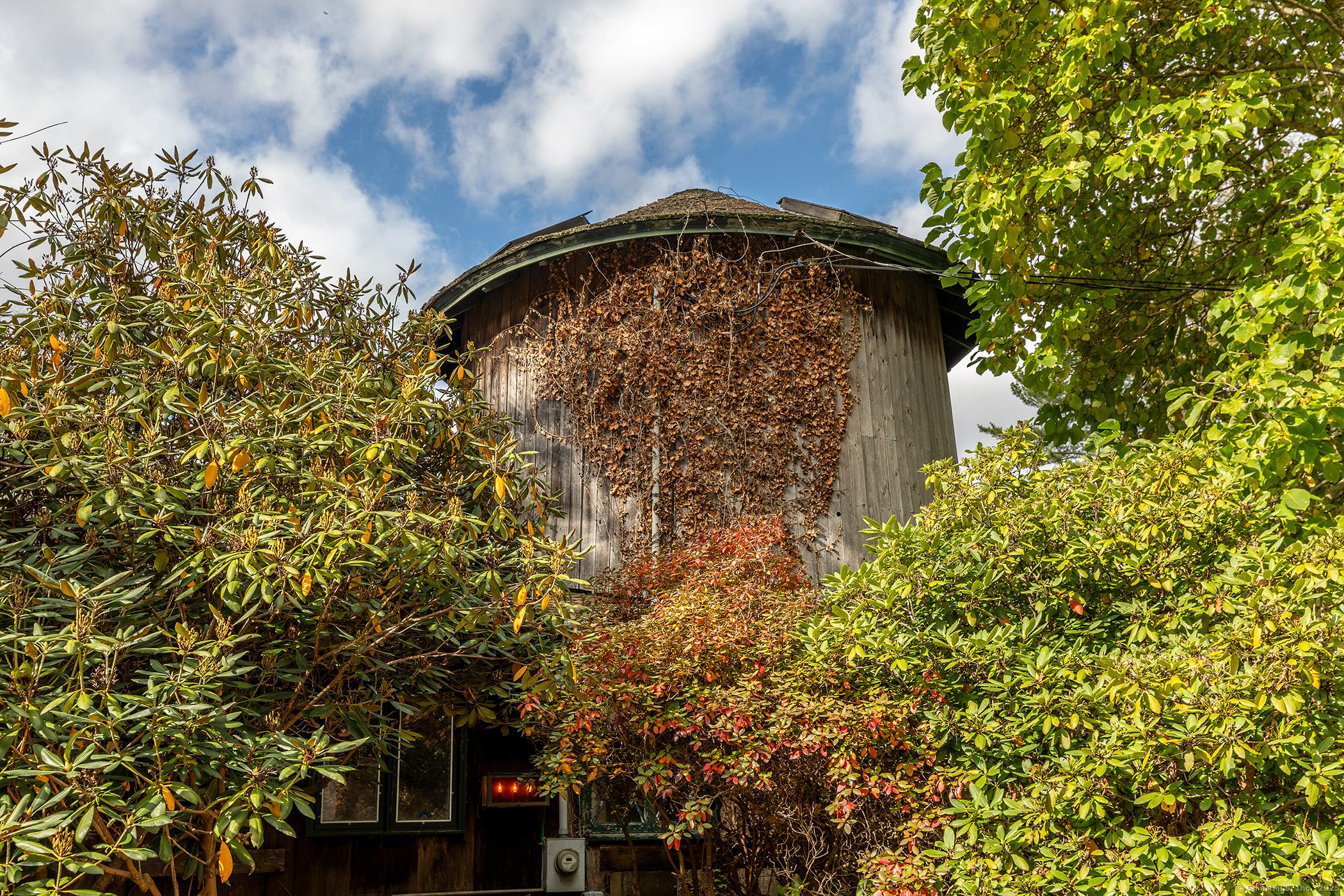 49 South Street Washington, CT 06793 - Photo 4 of 25 a backyard of a house with lots of green space